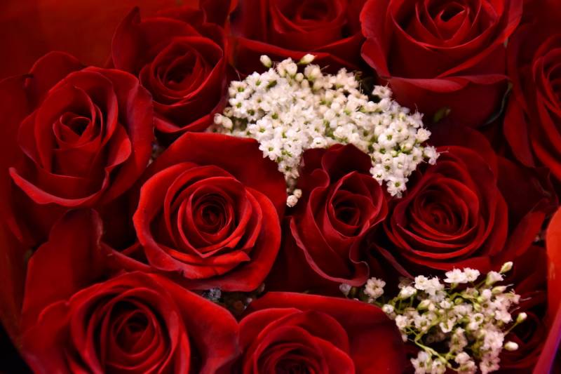 Menu Saint-Valentin